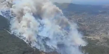 izmir-menderes-te-orman-yangini-havadan-ve-karadan-mudahale-suruyor-1751204313-290_large.webp.webp