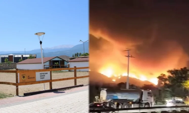 Yangın Mağduru Hayvanlara Yeni Bir Yuvalar!