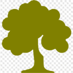 png-clipart-computer-icons-tree-icon-design-tree-leaf-olive