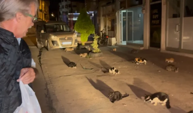 Veysel Kaya’dan Kedilere Destek: Bir Fedakarlık Hikayesi