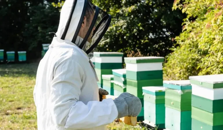 Keşan’da Organik Arıcılık Kursu Başladı!