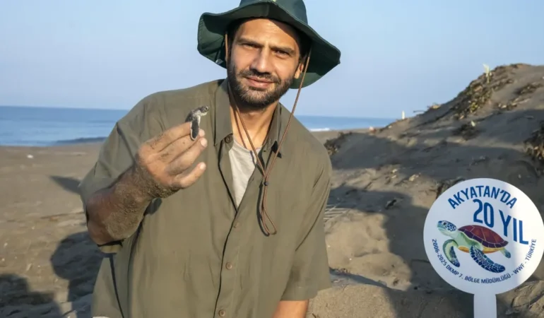 Yeşil Deniz Kaplumbağası Koruma Programı 20 Yaşında!