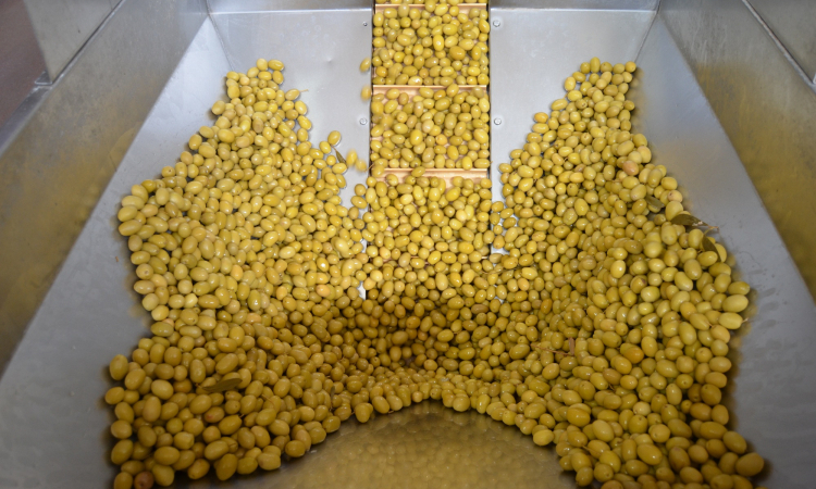 Türk Zeytin ve Zeytinyağı Kanada’da Hedef Büyütüyor