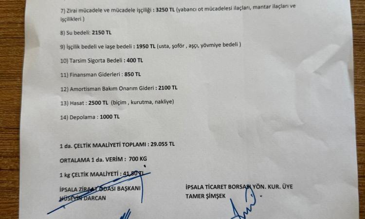 Çeltik Üretim Maliyeti Artıyor: Fiyatlar Yetersiz!