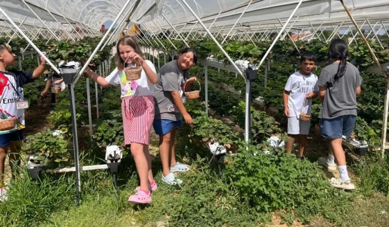 Çocuklar Doğayla Buluştu: Taşlık Yaz Okulu