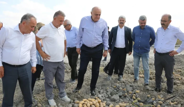 2027’de Patates Tohumunda Dışa Bağımlılık Bitecek!