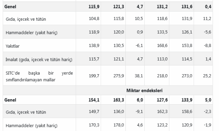 Dış Ticaret Endeksleri Yükselişte: TÜİK Raporu