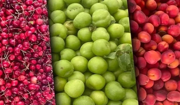 Tarımda Aylık Düşüş, Yıllık Artış Devam Ediyor!