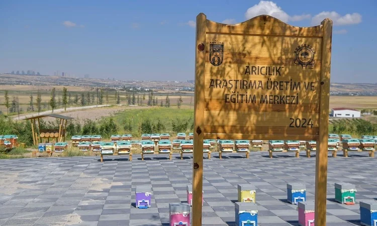 ABB’den Arıcılığa Dev Destek Projesi!