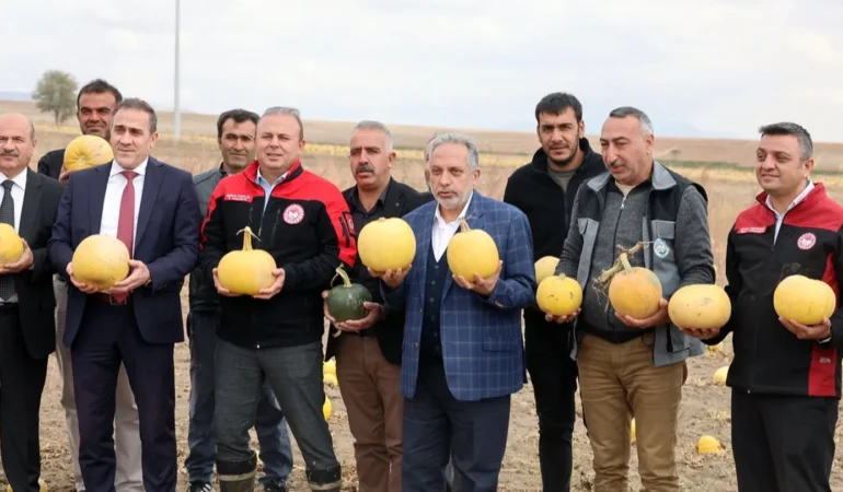 Talas’ta Kabak Çekirdeği Hasadı Gurur Verdi