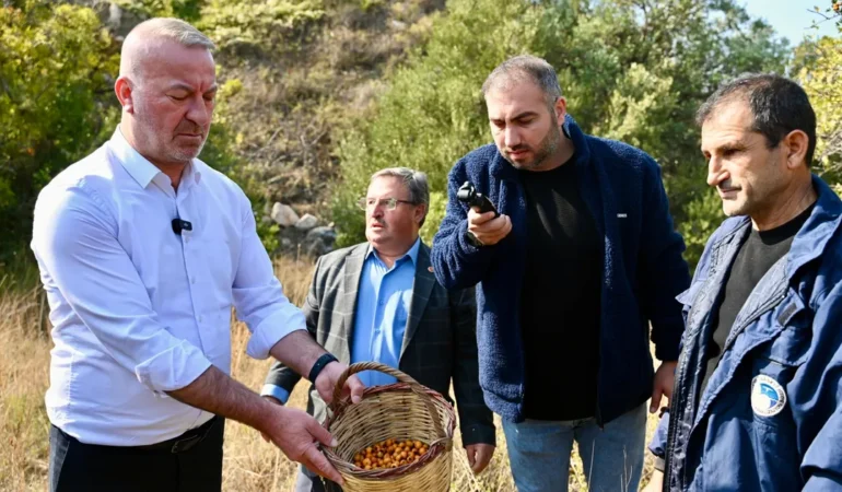 Karacabey, Kalbin Meyvesi Alıç’ı Tanıtacak!