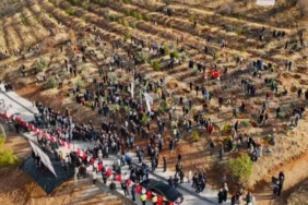 deprem-sehitleri-hatira-ormani-yenileniyor-1761387408-527_large.webp.webp