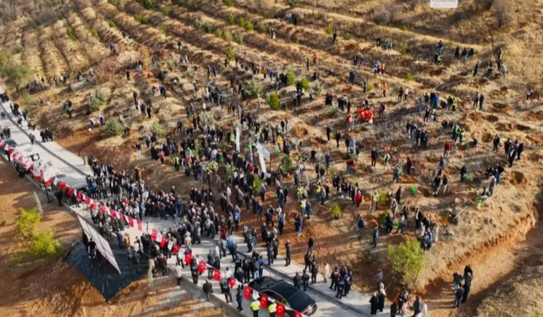 Deprem Şehitleri İçin Hatıra Ormanı Yenileniyor