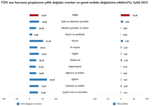 ekran-goruntusu-3-10-2025-10555-data-tuik-gov-tr-1759475163-944-x750.jpeg