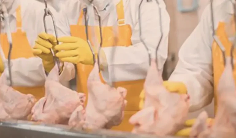 Filipinler’e Tarım İhracatında Yeni Dönem Başladı!