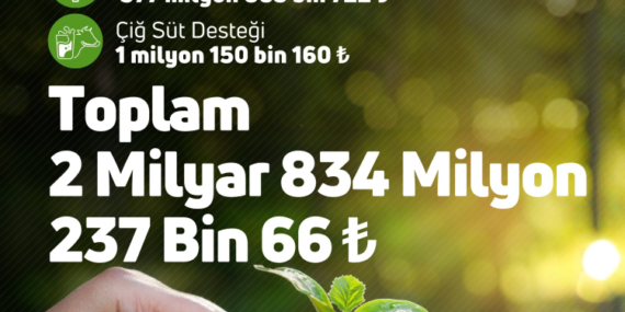 g4cbetewyaanopv-1761320567-182-x750.jpeg