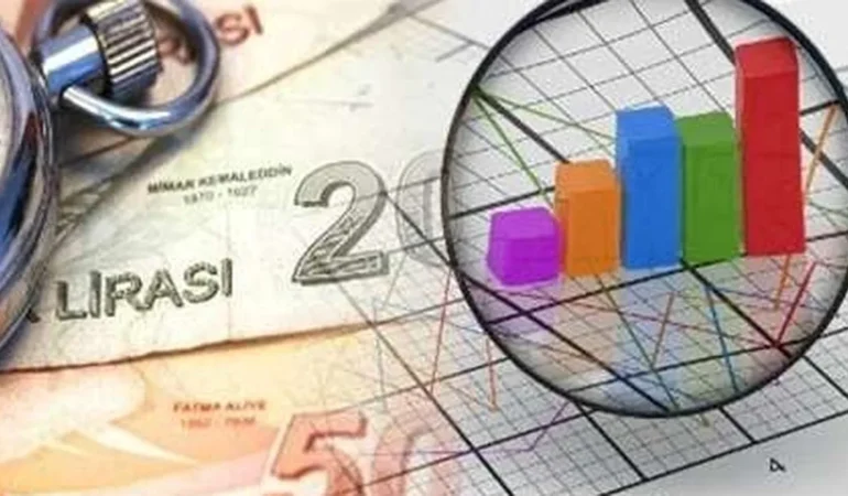 2024 Mali Verileri: Açık ve Borçta Düşüş!