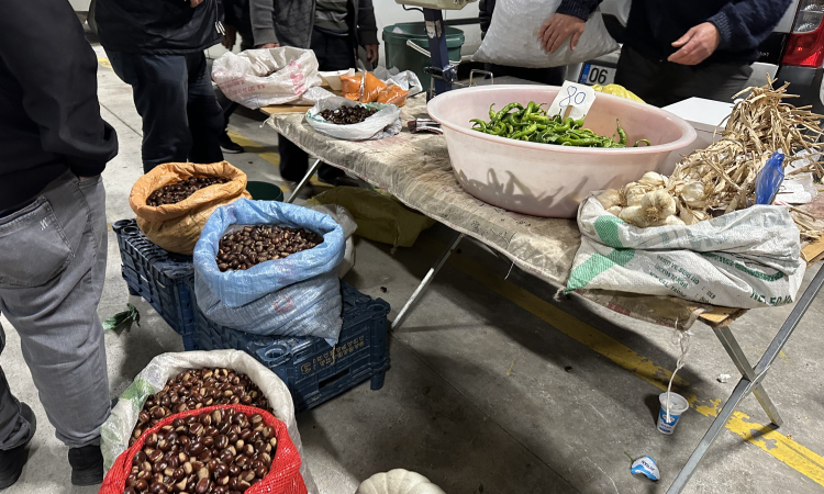 Düzce Kuzu Kestanesi Pazarda Fırtına Gibi!