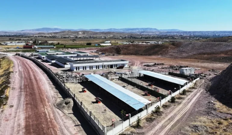 Kayseri’de Sokak Hayvanlarına 5 Yıldızlı Konfor!