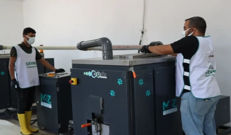 Organik Atıklar Sokak Hayvanlarına Umut Oluyor!