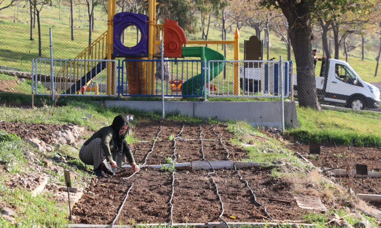 İzmir’de Kadınlar Mahalle Bostanlarında Üretiyor!