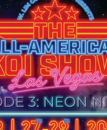 Las Vegas’ta Koi Balığı Şöleni: AAKS 2026