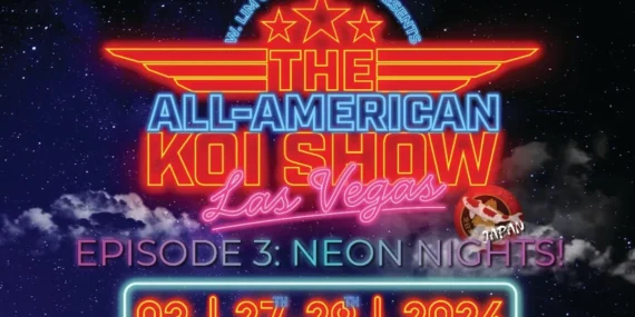 all-american-koi-show-2026-koi-dunyasinin-en-prestijli-yarismasi-las-vegas-a-donuyor-1762278185-143.webp