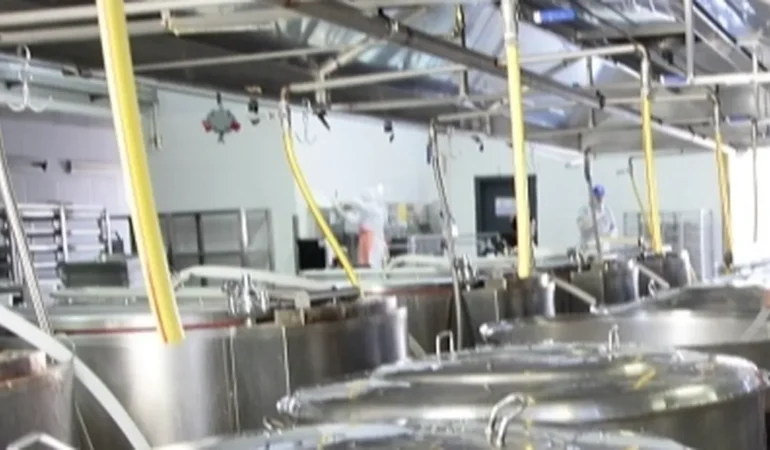 Yemek Sektöründe Kalite Zorunluluğu!