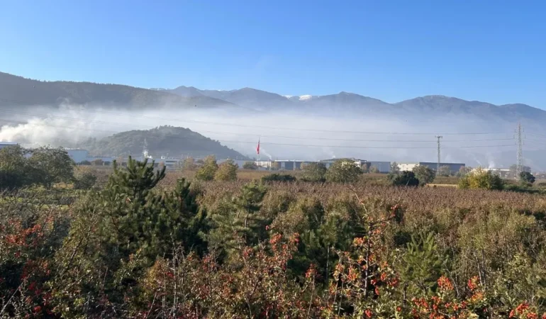 CHP’li Vekiller: Bursa’da Hava Kalitesi Tehditte!