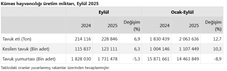 Tavuk Eti Üretimi Arttı, Yumurtada Düşüş!