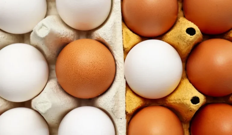 Yumurta Krizi: Üretim Düşüyor, Fiyatlar Artıyor!