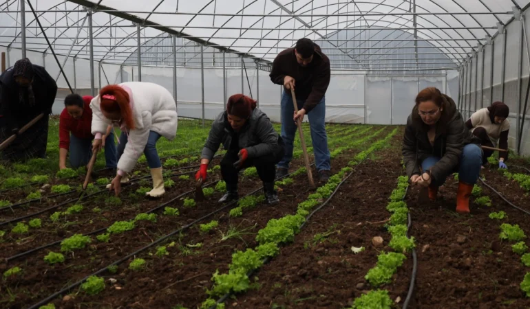 Tarım Akademisi ile Kadın ve Gençler Tarıma Kazanıyor